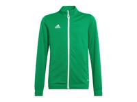 adidas Kinder trainingsjack Entrada 22 (164, Groen)