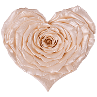 Longlife Rozenhartje metallic champagne Longlife Rozenhartje metallic champagne