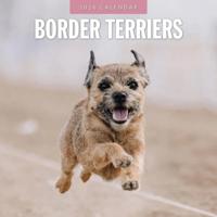 Border Terrier Kalender 2026