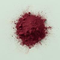 Bietenpoeder (bio) 180 gram