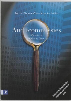 Auditcommissies (Paperback)