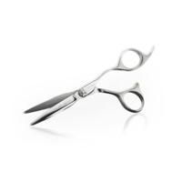 Curve-O Scissors The Specialist 680 Right-Handed Scissors
