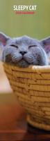 Sleepy Cat Kalender 2026 Slimline