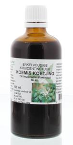 Natura Sanat Orthosiphon stamineus / koemis koetjing tinctuur