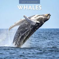 Walvissen Kalender 2027