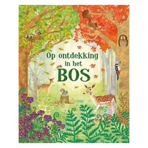 Deltas Op ontdekking in het bos