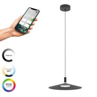 Eglo Design hanglampConomavilla-Z smart zwart - 902183