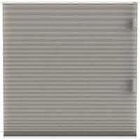 Leen Bakker - Fenstr Plisségordijn Chicago Dubbel 25mm Verduisterend - (30022) - Polyester - Taupe - 120x10x10 Cm