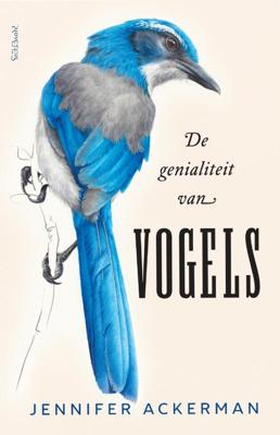 De genialiteit van vogels (Paperback)
