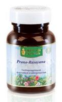 Maharishi Ayurv Prana rasayana/MA 1405