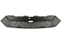 Radiateurgrille 6502073083990P