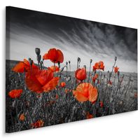 Schilderij - Rode Klaprozen, zwart-wit/rood, 4 maten, premium print - thumbnail