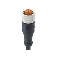 Lutronic 1067 Sensor/actuator connector, geassembleerd M12 Aantal polen (sensoren): 4 Koppeling, recht 2.00 m 1 stuk(s)