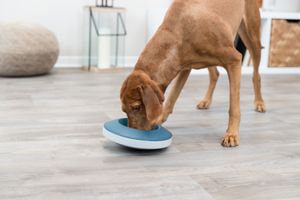 Trixie Slowfeeding rocking bowl kunststof / tpr grijs / blauw