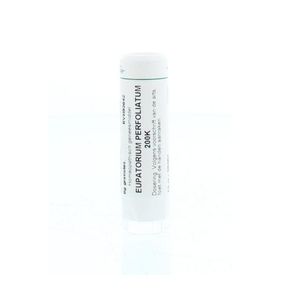 Eupatorium perfoliatum 200K