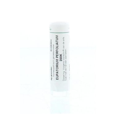 Eupatorium perfoliatum 200K