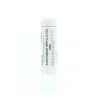 Eupatorium perfoliatum 200K