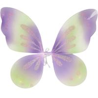 Fiestas Guirca Verkleed vleugels - vlinder - groen/lila paars - kinderen - Carnaval