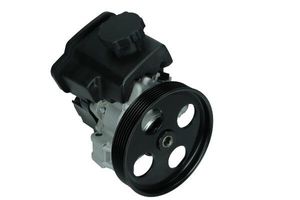Servo pomp 480161