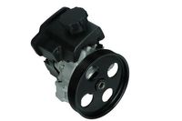 Servo pomp 480161