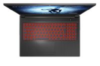 Medion Erazer Deputy P25 - Gaming laptop - 15.6 Inch - 144 Hz - thumbnail