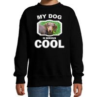 Teckel honden trui / sweater my dog is serious cool zwart voor kinderen - thumbnail