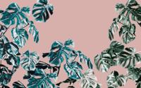Noordwand Komar Pure Fotobehang Monstera Rose - P016-VD4