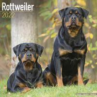 Kalender 2025 Rottweiler