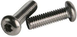 Bofix Inbusbout bolkop m6 x 20 mm rvs 25 stuks (214291)