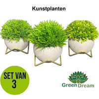 GreenDream® Kunstplanten - Kunstplanten voor binnen - 15x12 cm -Set van 3 stuks - Vetplanten - Decoratie - thumbnail