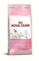 Kattenvoer Droogvoer kat moeder en babycat 2 kg - Royal Canin