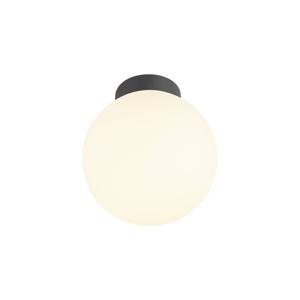 SLV 1008125 SUN Plafondlamp E27 60 W Zwart