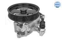 Servo pomp 0146310025