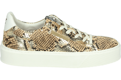 Floris van Bommel SFW-10106-91-01 - alle