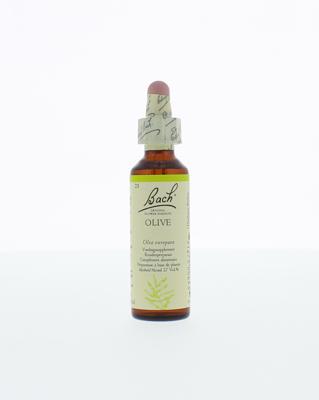 Olive/olijf 20 Milliliter