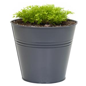 Plantenpot/bloempot Bob - rond - zink - antraciet - D11 X H10 cm