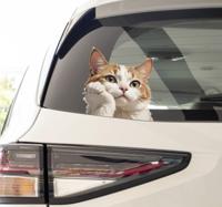 Kat denkend autosticker