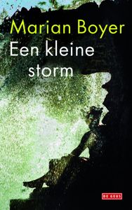 Een kleine storm - Marian Boyer - ebook