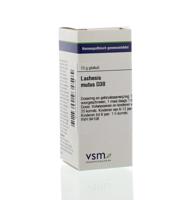 VSM Lachesis mutus D30 10 Gram