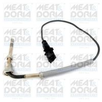 Sensor, uitlaatgastemperatuur 12068
