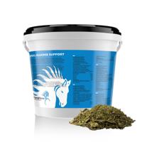 Herbal Glucose Support