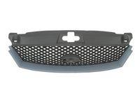 Radiateurgrille 6502072555992P