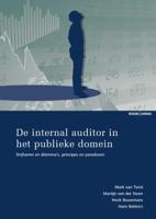 De internal auditor in het publieke domein (Paperback)