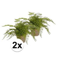 2x Kunstplant herfst varen groen in pot - thumbnail