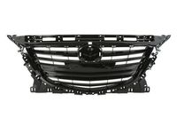 Radiateurgrille 6502073478991P