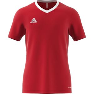 adidas Trainingsshirt Entrada 22 - Rood/Wit