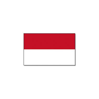 Feestartikelen Vlag Indonesie