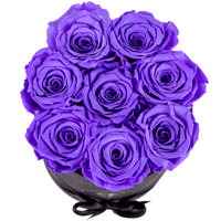 Flowerbox longlife Gigi paars Flowerbox longlife Gigi paars