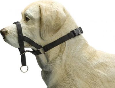 BZ DOG CONTROL XL ZWT