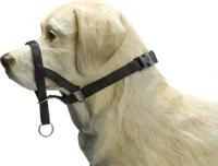 BZ DOG CONTROL XL ZWT